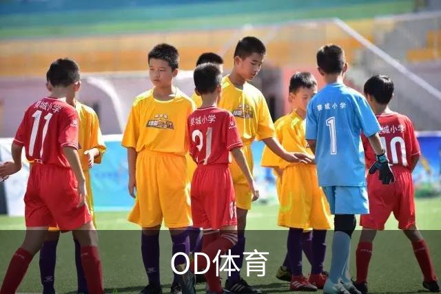 OD体育品牌展示图